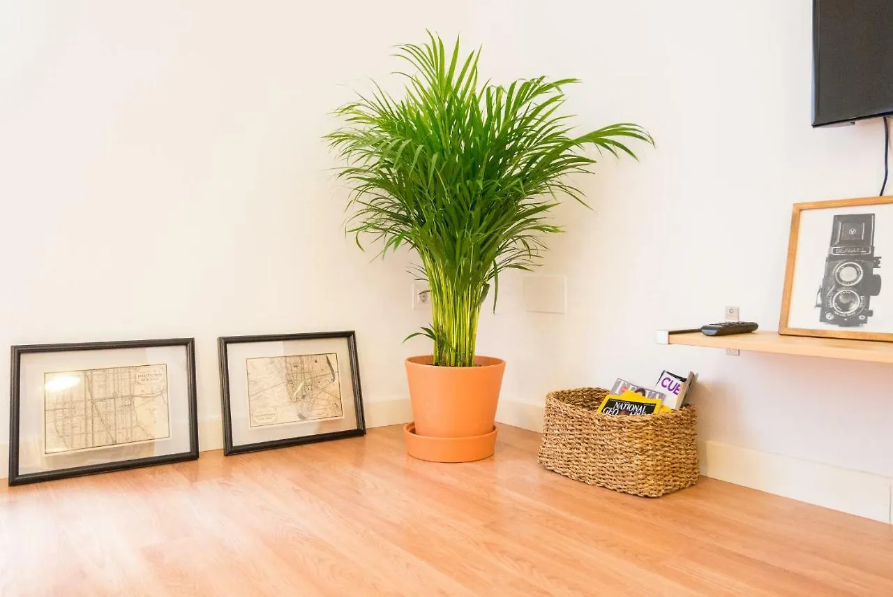 Appartement Homely Malaga Plaza Montano Spanje